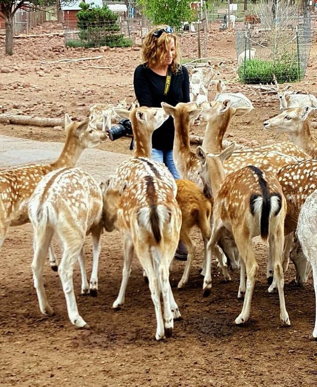 Grand Canyon Deer Farm