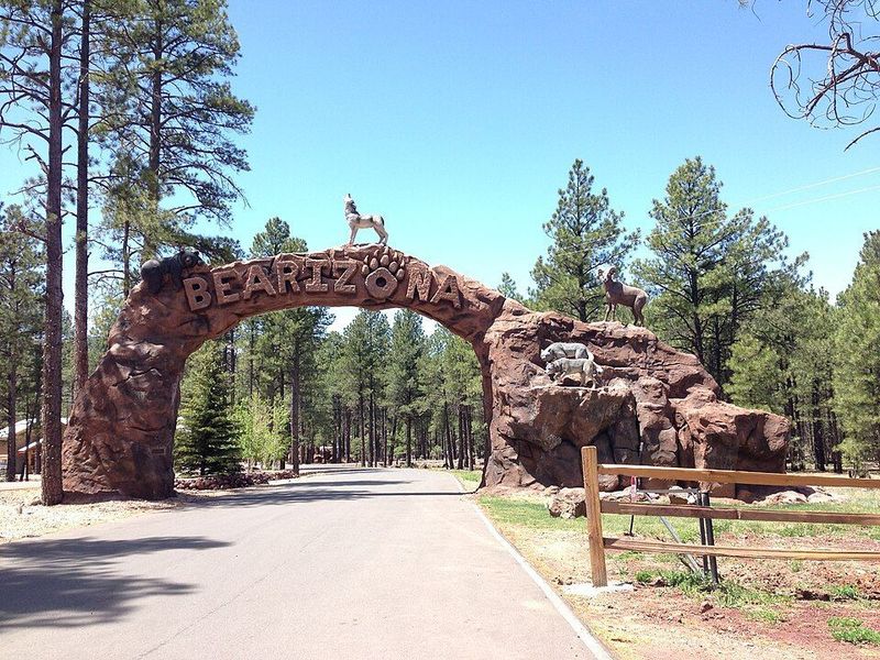 Bearizona Wildlife Park